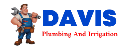 Trusted plumber in CARMI